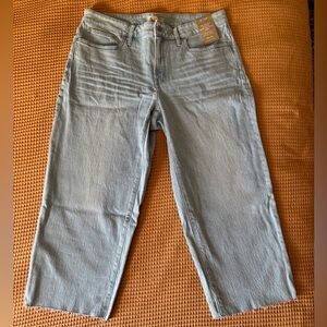 NWT Madewell Perfect Vintage Wide-Leg Crop Jean in Ward Wash | Women’s Plus 16W
